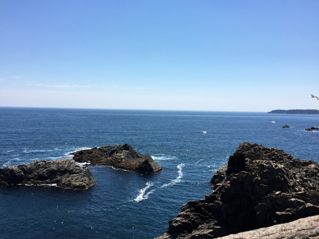 海プロジェクト