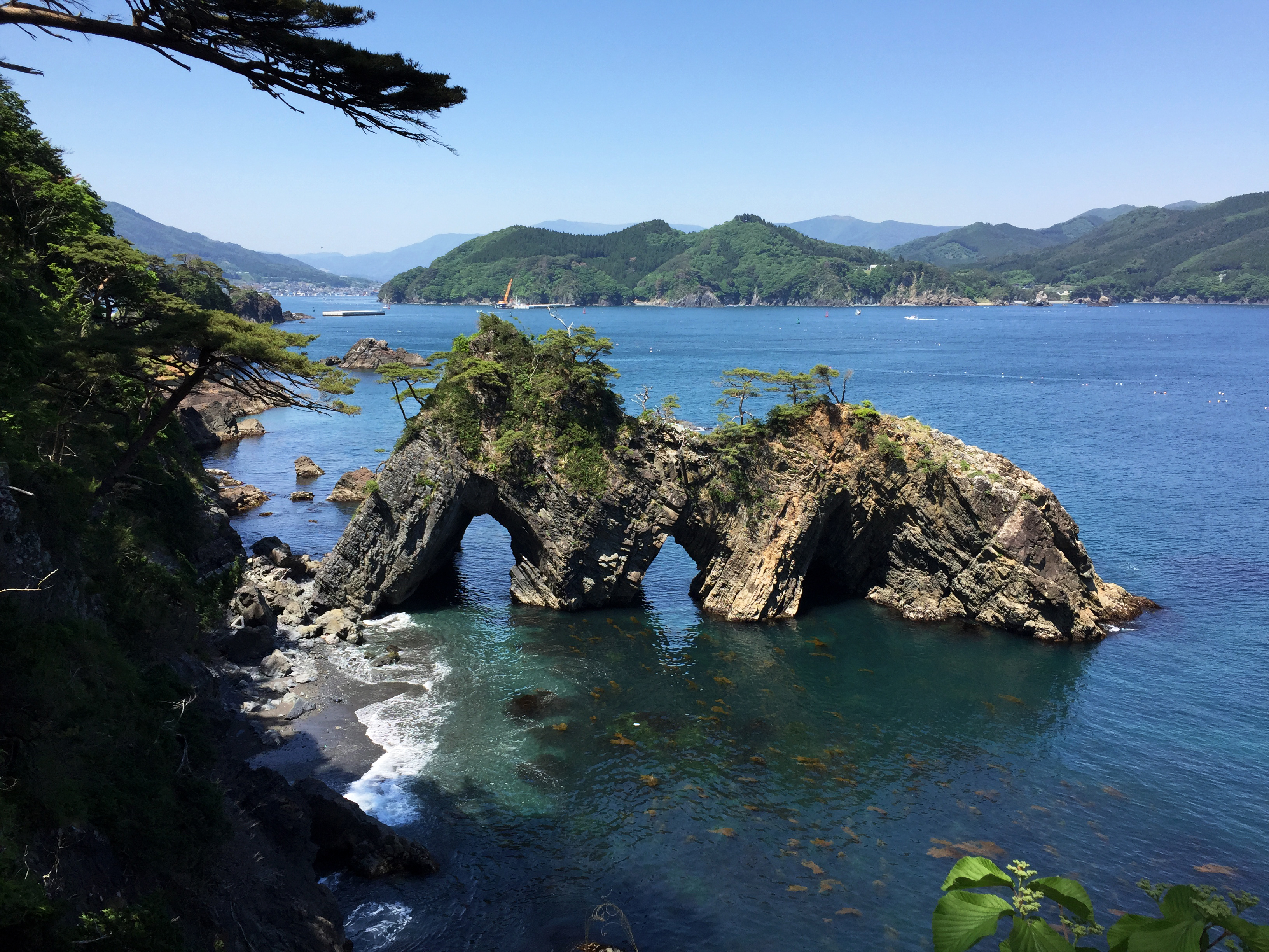 OFT!プロジェクト